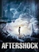 Achat DVD  Aftershock 