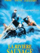 Achat DVD  La Rivière Sauvage 