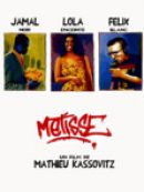 Télécharger Métisse