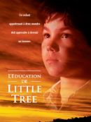 Achat DVD  L'éducation De Little Tree 