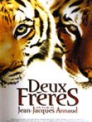Achat DVD  Deux Frères 