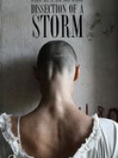 Achat DVD  Dissection of a Storm 