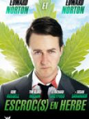 Achat DVD  Escrocs en herbe 