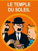 Achat DVD  Tintin Et Le Temple Du Soleil 