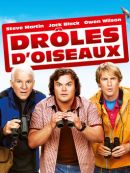 Achat DVD  Droles D’oiseaux 