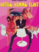 Achat DVD  Notre homme Flint 