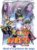 Achat DVD  Naruto Et La Princesse Des Neiges 