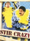 Achat DVD  Stir Crazy 