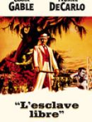 Achat DVD  L'esclave libre 