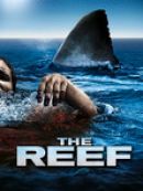 Achat DVD  The reef 