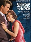 Achat DVD  La Fièvre Dans Le Sang (Splendor In The Grass) 