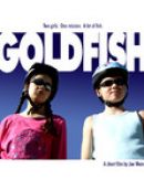 Achat DVD  Goldfish 