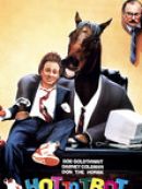 Achat DVD  Hot To Trot 