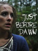 Achat DVD  Just Before Dawn 