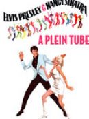 Achat DVD  A plein tube (Speedway) 