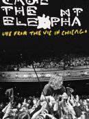 Achat DVD  Cage The Elephant: Live From The Vic In Chicago 