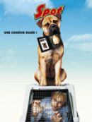 Télécharger Spot