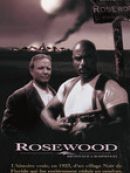 Télécharger Bienvenue A Rosewood (Rosewood)