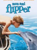 Achat DVD  Mon Ami Flipper (Flipper) [1963] 
