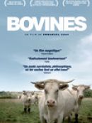 Achat DVD  Bovines Ou La Vraie Vie Des Vaches 