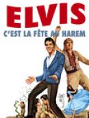Achat DVD  C'est La Fête Au Harem 