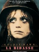 Achat DVD  La Bidasse 