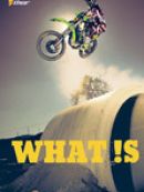 Télécharger What Is