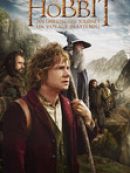 Achat DVD  The Hobbit: An Unexpected Journey 