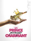 Achat DVD  Un prince presque charmant 