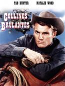 Achat DVD  Collines Brûlantes 