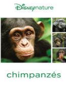Télécharger Chimpanzés