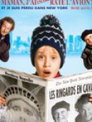 Télécharger Home Alone 2: Lost In New York