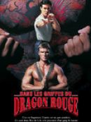Achat DVD  Dans les griffes du dragon rouge 