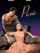 Achat DVD  Picnic 