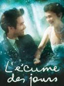 Achat DVD  L' écume des jours 