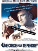 Achat DVD  Une Corde Pour Te Pendre (Along The Great Divide) 