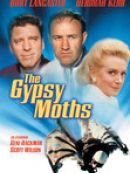 Achat DVD  Parachutistes arrivent (The Gypsy Moths) 