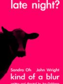 Achat DVD  Kind of a Blur 