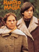 Achat DVD  Harold Et Maude 