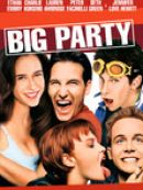 Achat DVD  Big Party 