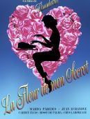 Achat DVD  La Fleur De Mon Secret 