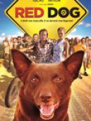 Achat DVD  Red Dog 
