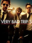 Achat DVD  The Hangover: Part III 