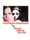 Achat DVD  Reflections In a Golden Eye 