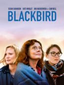 Achat DVD  Blackbird 