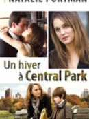 Télécharger Un hiver à Central Park
