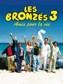 Achat DVD  Les Bronzés 3 : Amis Pour La Vie 