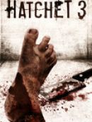 Achat DVD  HATCHET 3 