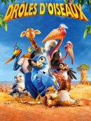 Achat DVD  Drôles D'oiseaux 