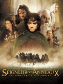 Achat DVD  Le Seigneur Des Anneaux : La Communauté De L'anneau (VOST) 